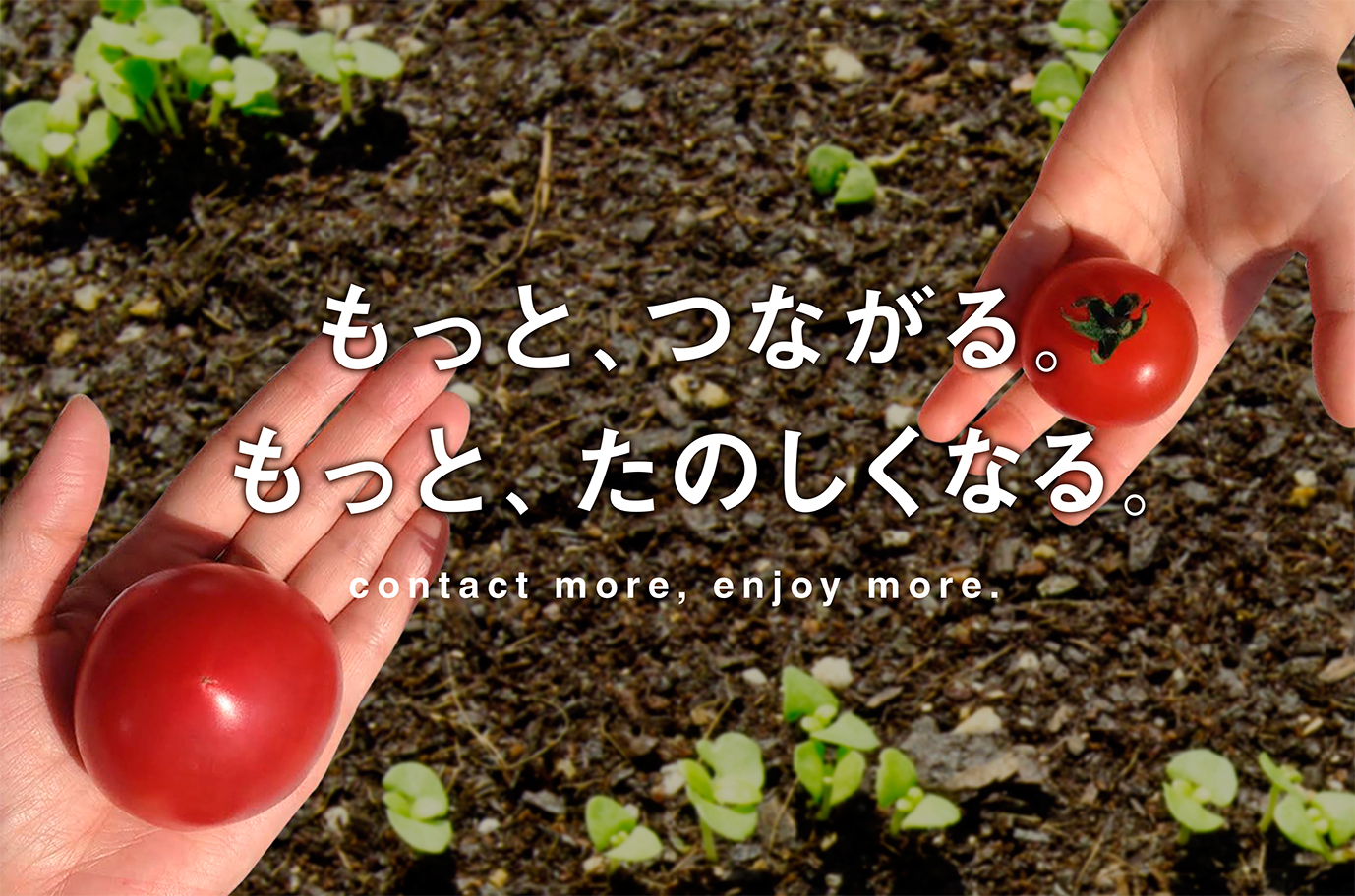 もっと、つながる。もっと、たのしくなる「たんじゅん野菜」